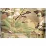 Pantalon 5.11 Tactical Multicam Tdu